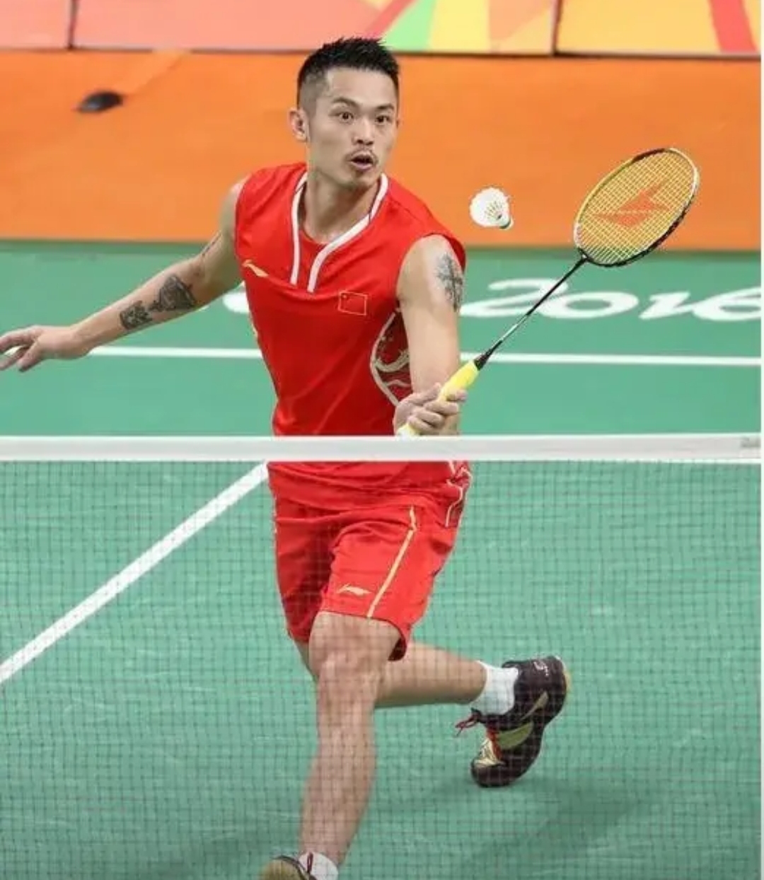 的可靠帮手 的可靠帮手